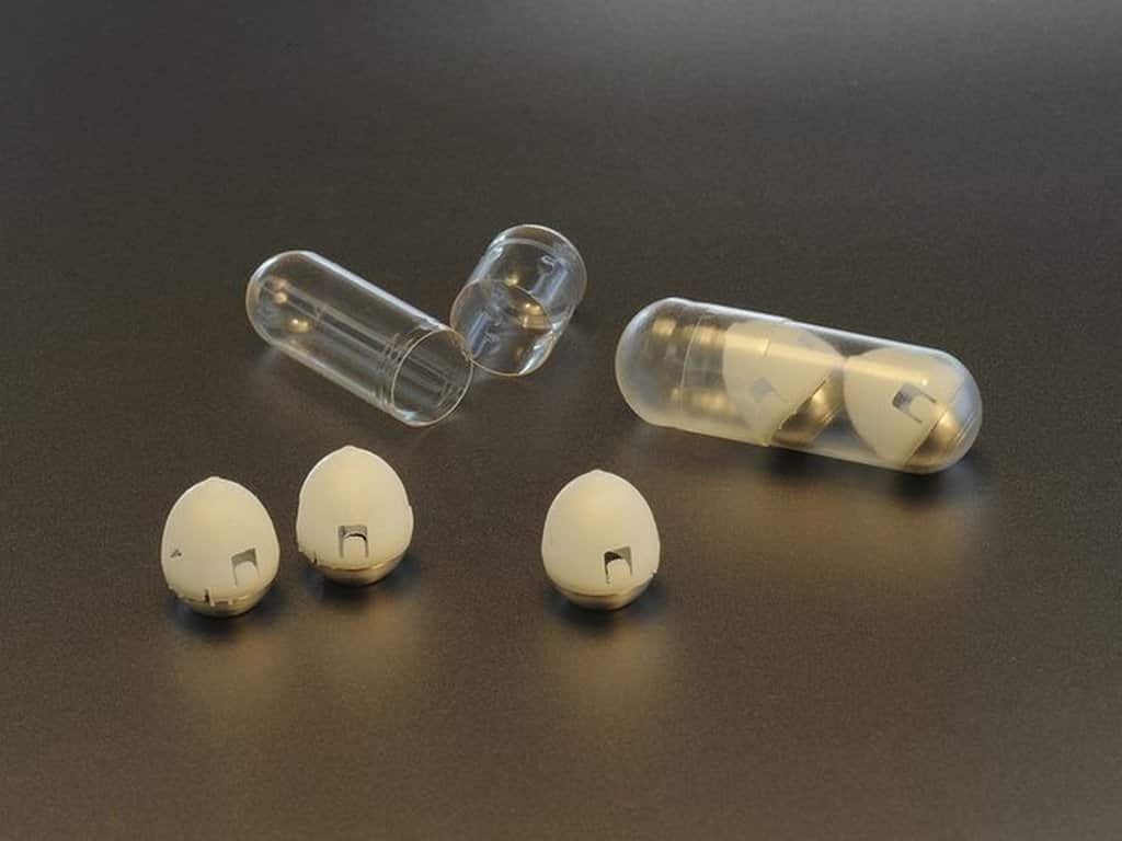 豌豆大小的药丸，灵感来自龟甲。图片来源:美联社